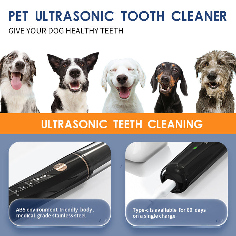 Ultrasonic Pet Teeth Cleaning And Cleaning Device