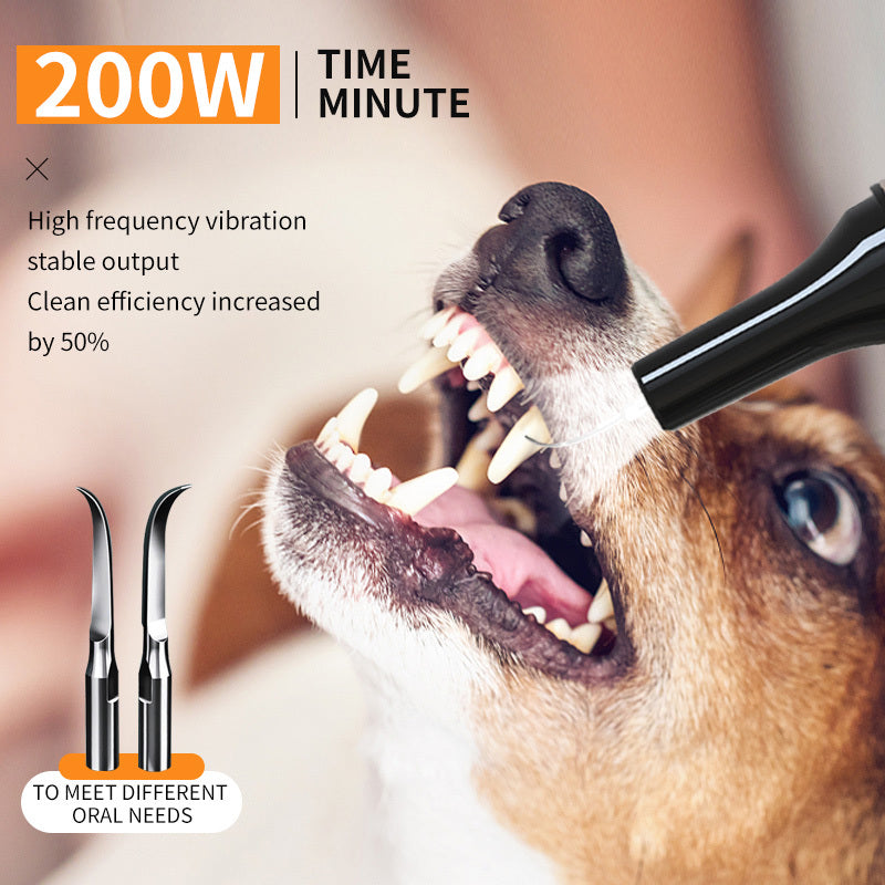 Ultrasonic Pet Teeth Cleaning And Cleaning Device